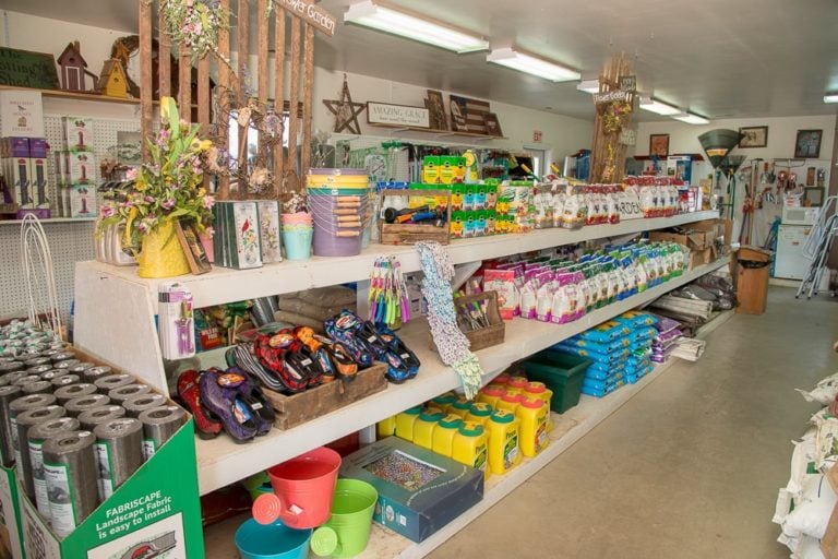 Garden Center Brusca Nursery